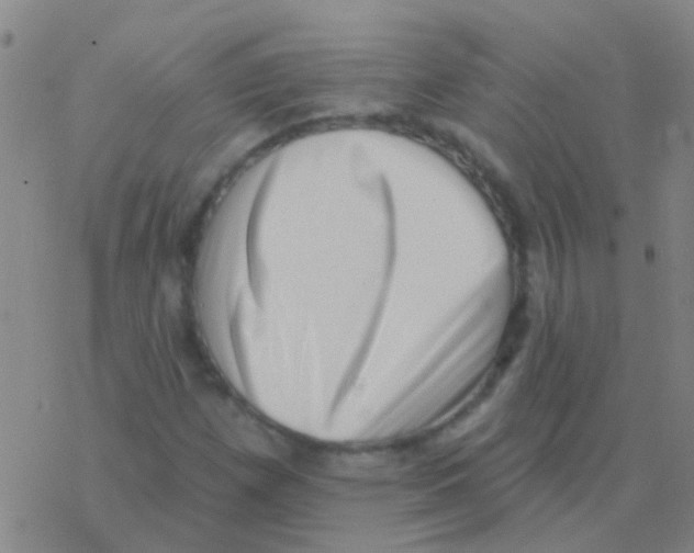 X0000076321257200610271955