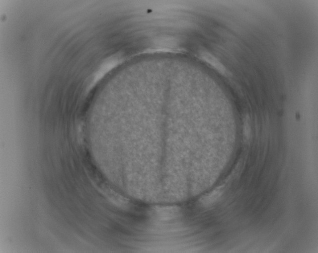 X0000076321258200610271955