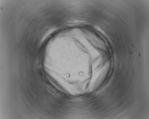 X0000076321259200610271955