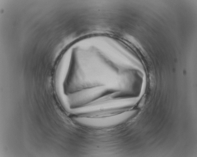 X0000076321260200610271955