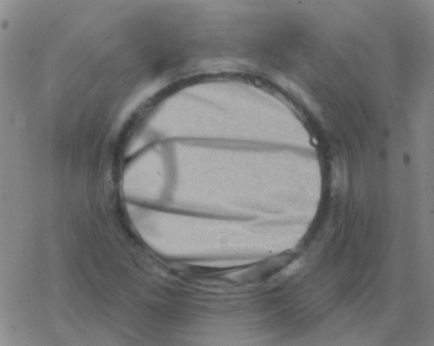 X0000076321261200610271955