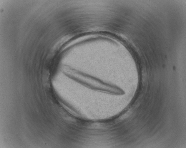 X0000076321265200610271955