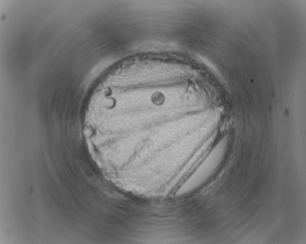 X0000076321267200610271955