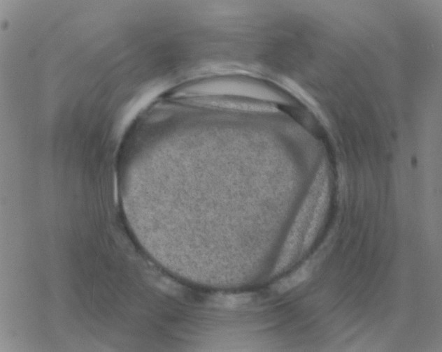 X0000076321269200610271955