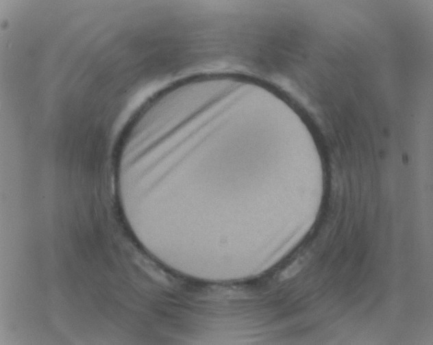 X0000076321270200610271955