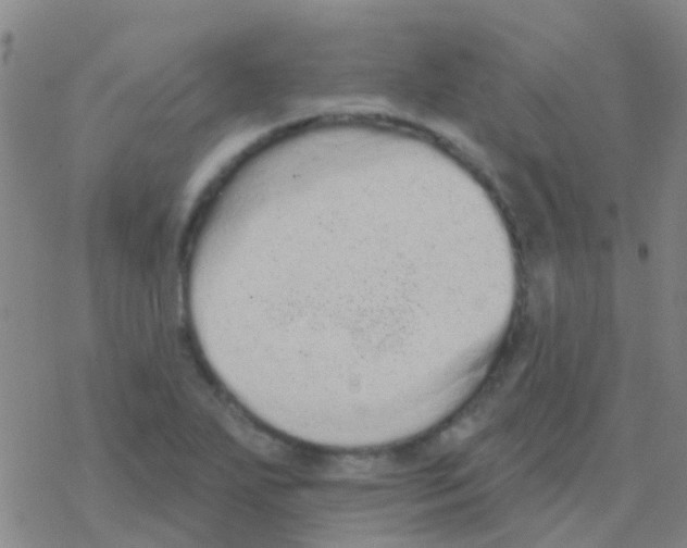 X0000076321271200610271955