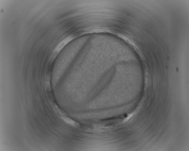 X0000076321273200610271955