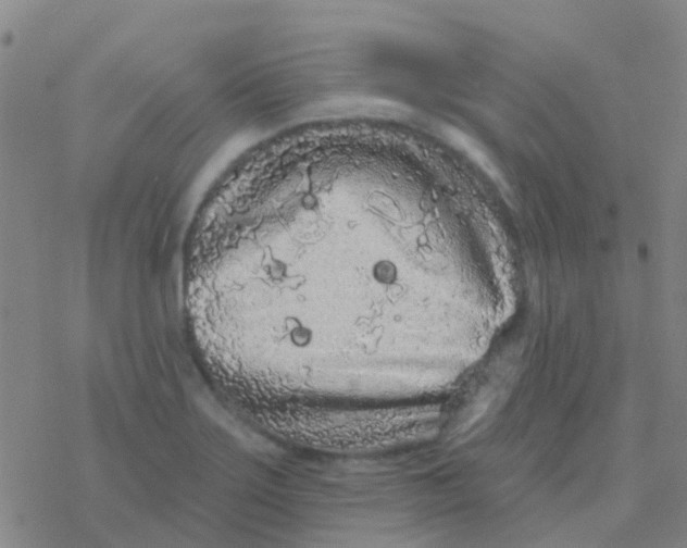 X0000076321275200610271955