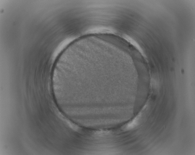 X0000076321277200610271955