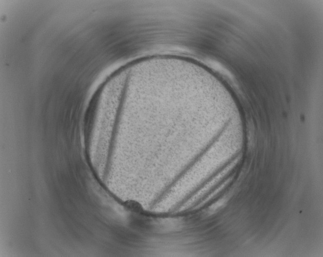 X0000076321280200610271955