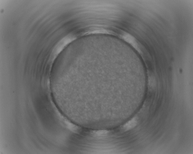 X0000076321282200610271955