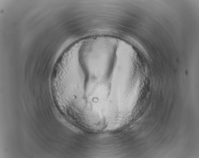 X0000076321283200610271955