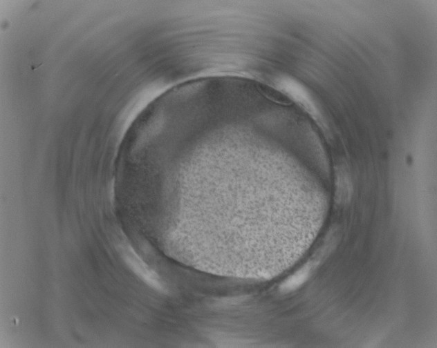 X0000076321284200610271955