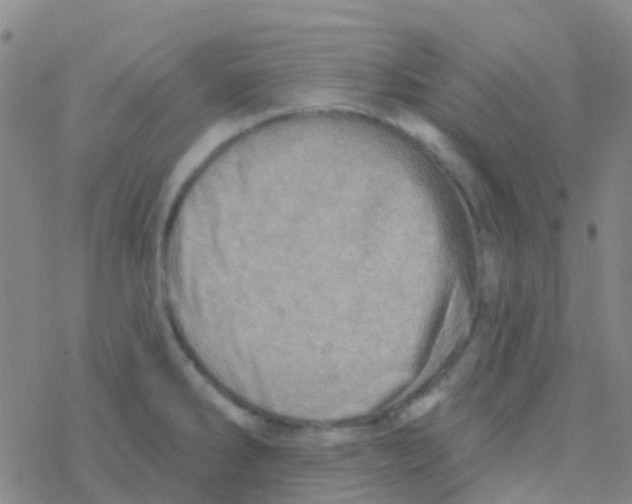 X0000076321286200610271955