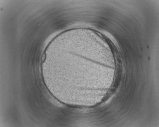 X0000076321288200610271955