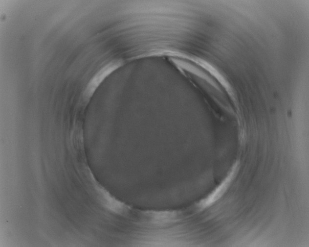 X0000076321289200610271955