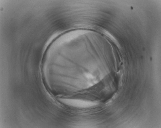 X0000076321291200610271955