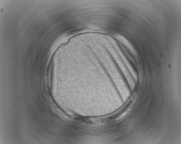 X0000076321292200610271955