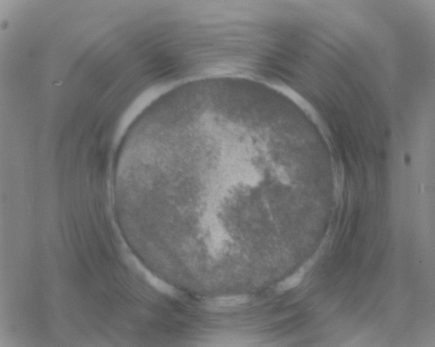 X0000076321294200610271955