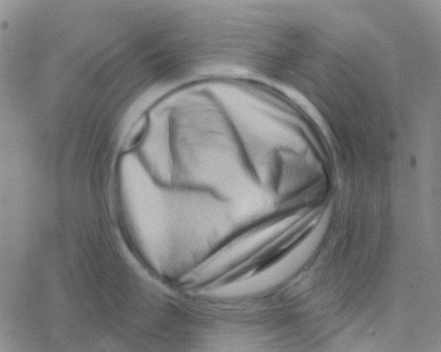 X0000076321295200610271955