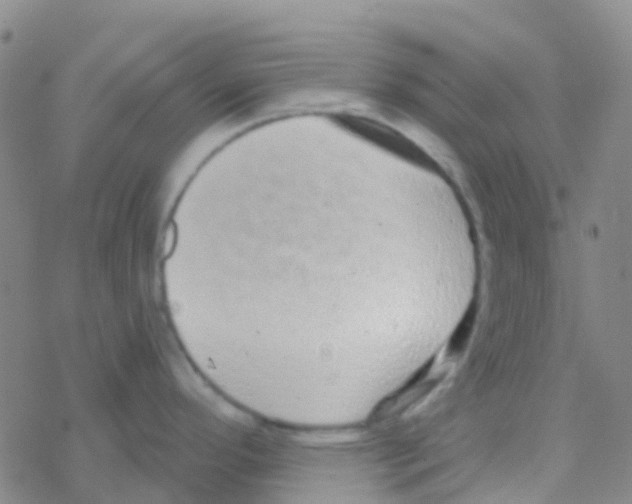 X0000076321296200610271955