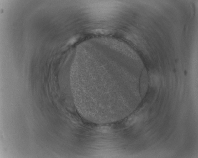 X0000076321297200610271954