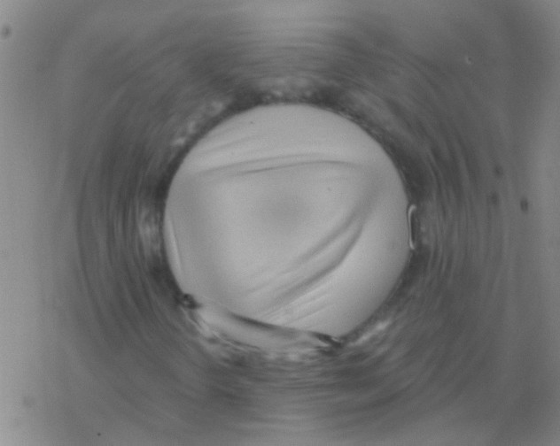 X0000076321298200610271954