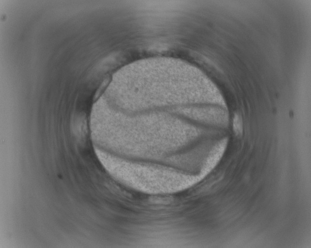 X0000076321299200610271954