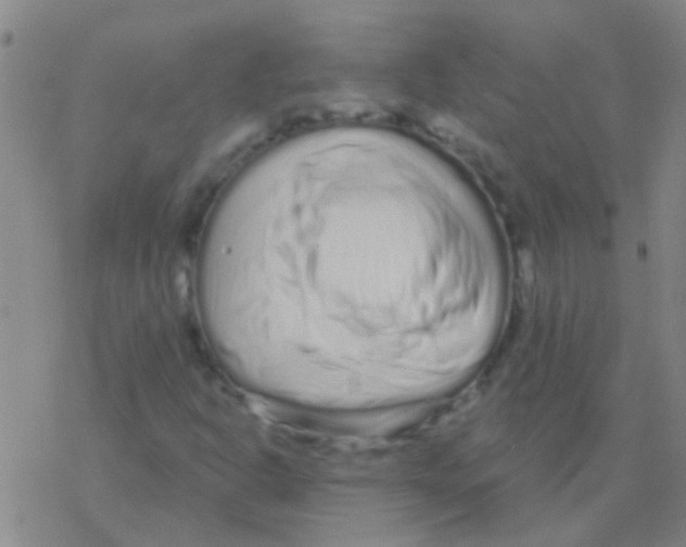 X0000076321302200610271954