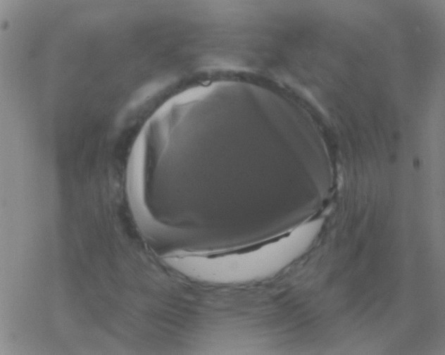 X0000076321303200610271954