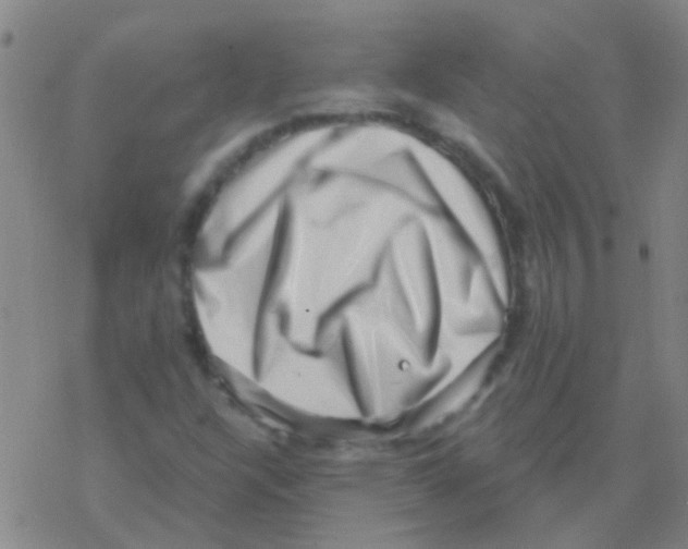 X0000076321304200610271954