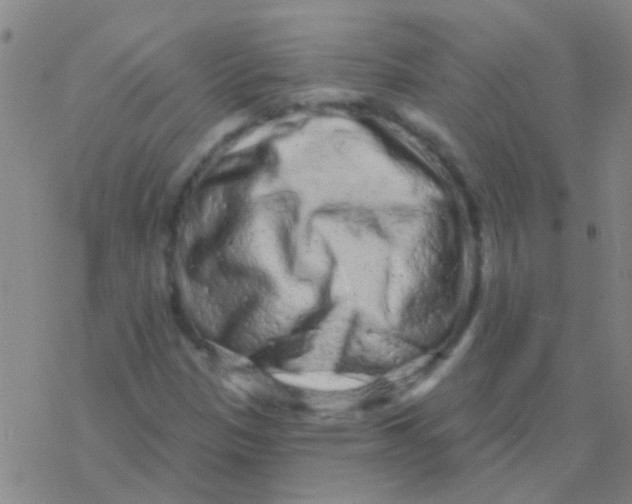 X0000076321305200610271954