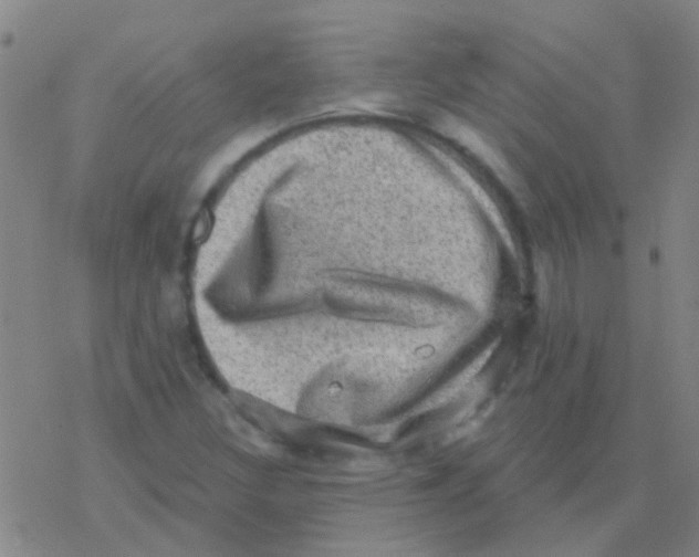 X0000076321308200610271954