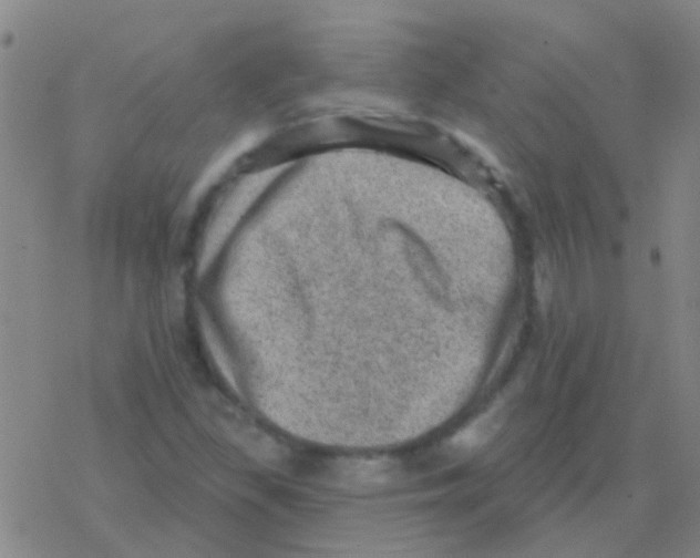 X0000076321309200610271954