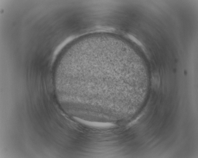 X0000076321310200610271954