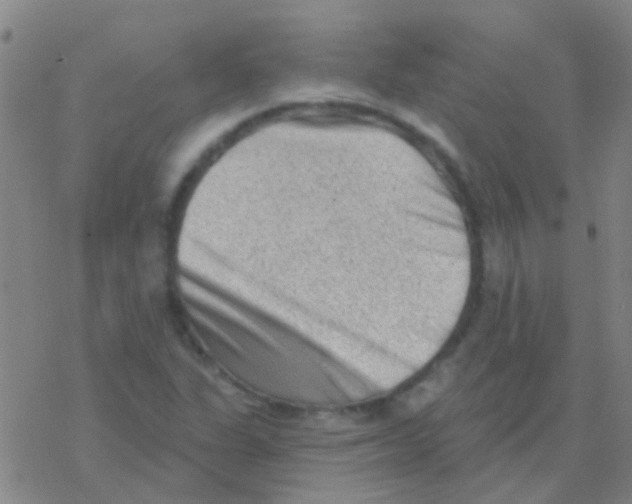 X0000076321311200610271954