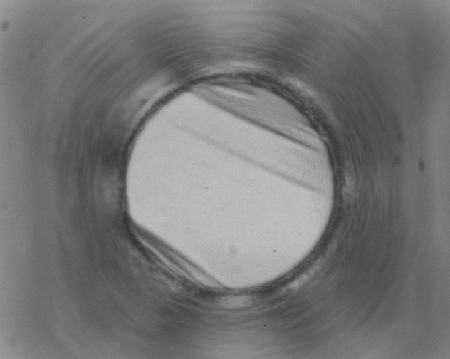 X0000076321313200610271954