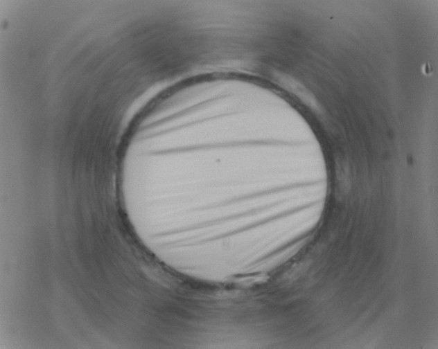 X0000076321316200610271954