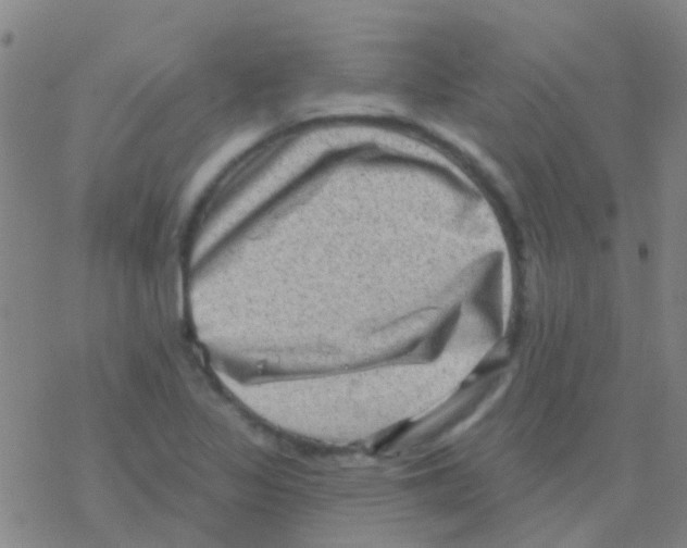 X0000076321317200610271954