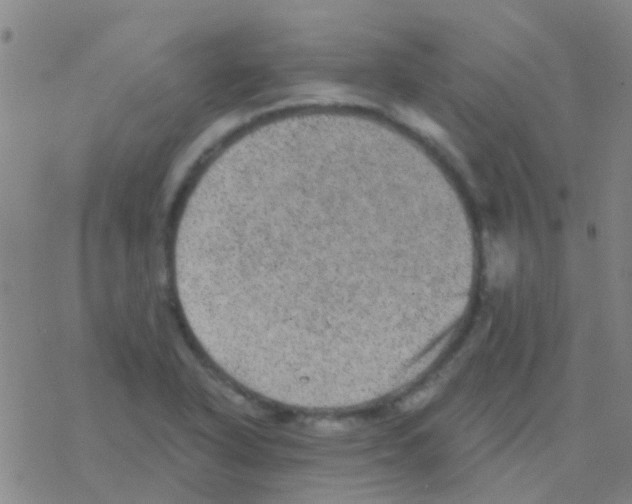 X0000076321318200610271954