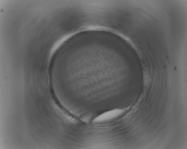 X0000076321319200610271954