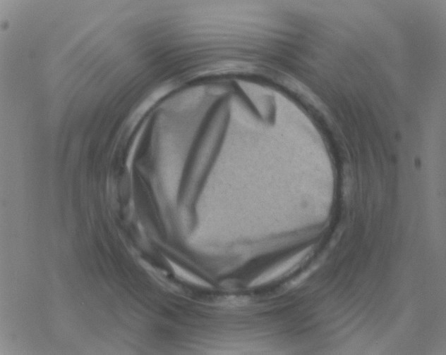 X0000076321321200610271954