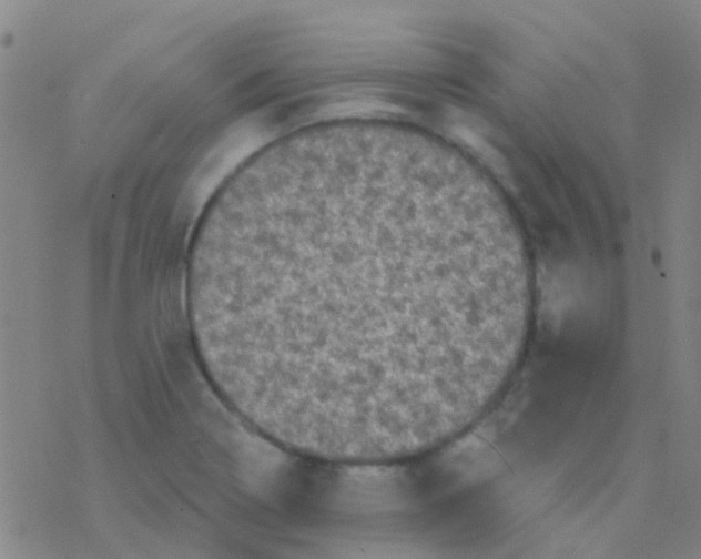 X0000076321322200610271954