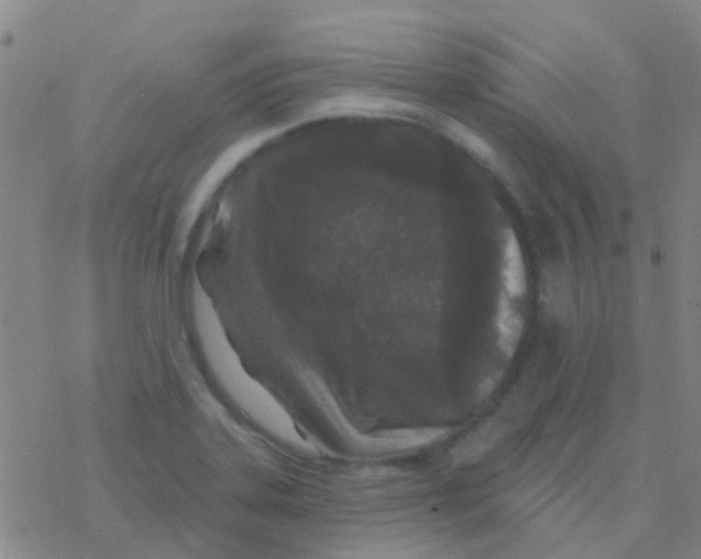 X0000076321323200610271954