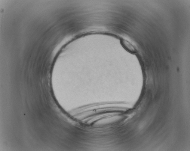 X0000076321325200610271954