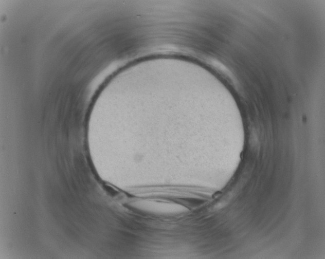 X0000076321326200610271954