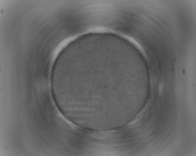 X0000076321327200610271954