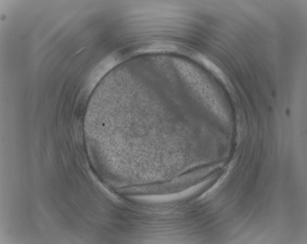 X0000076321329200610271954