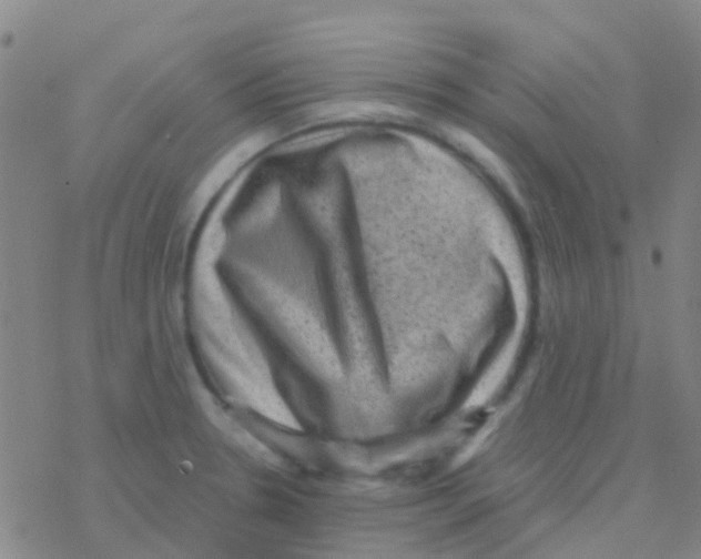 X0000076321330200610271954