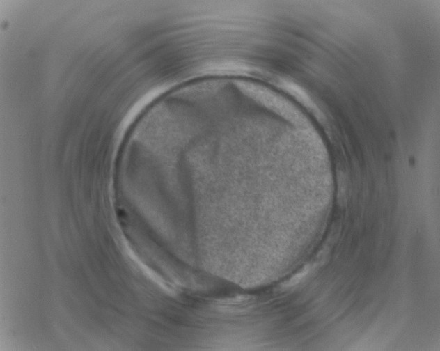 X0000076321331200610271954